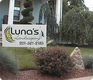 Luna Landscaping