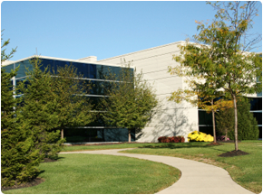Commercial Landscaping Services