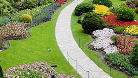 Landscaping Services
