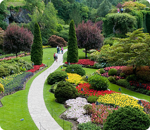landscaping design