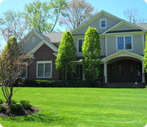 Landscaping Maintenance